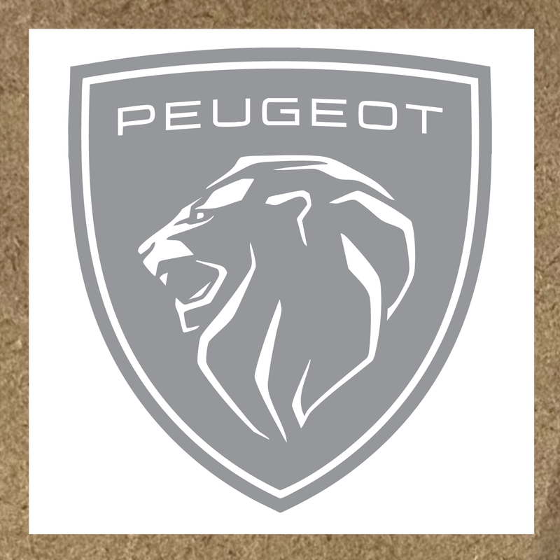 couleur:argent