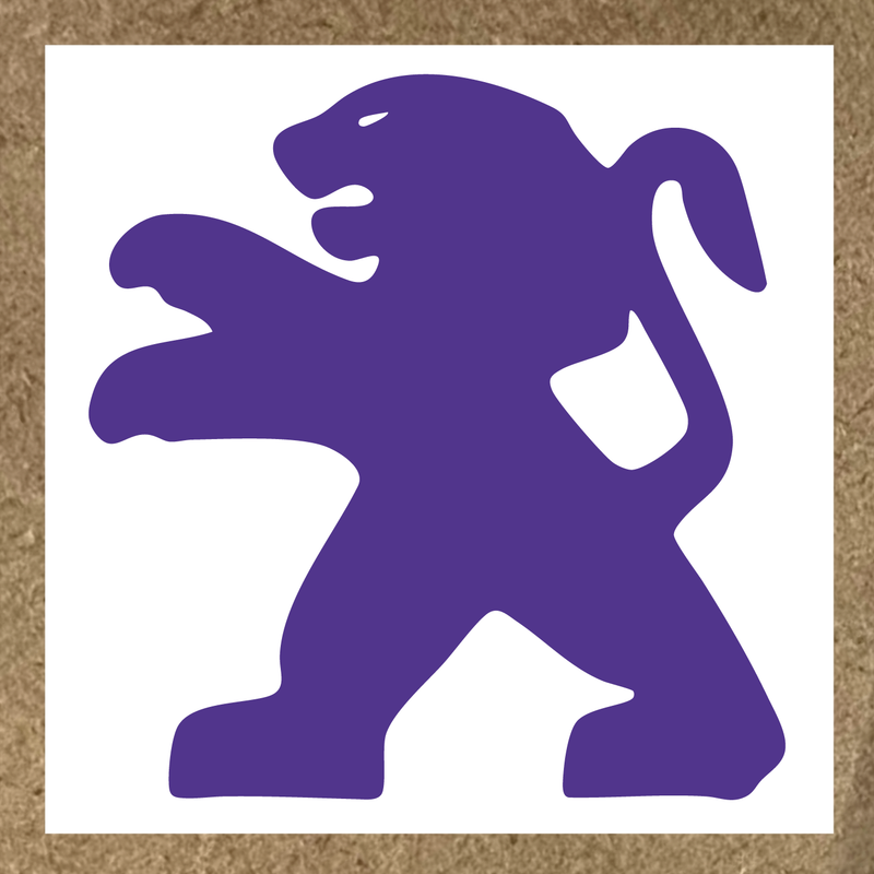 couleur:violet